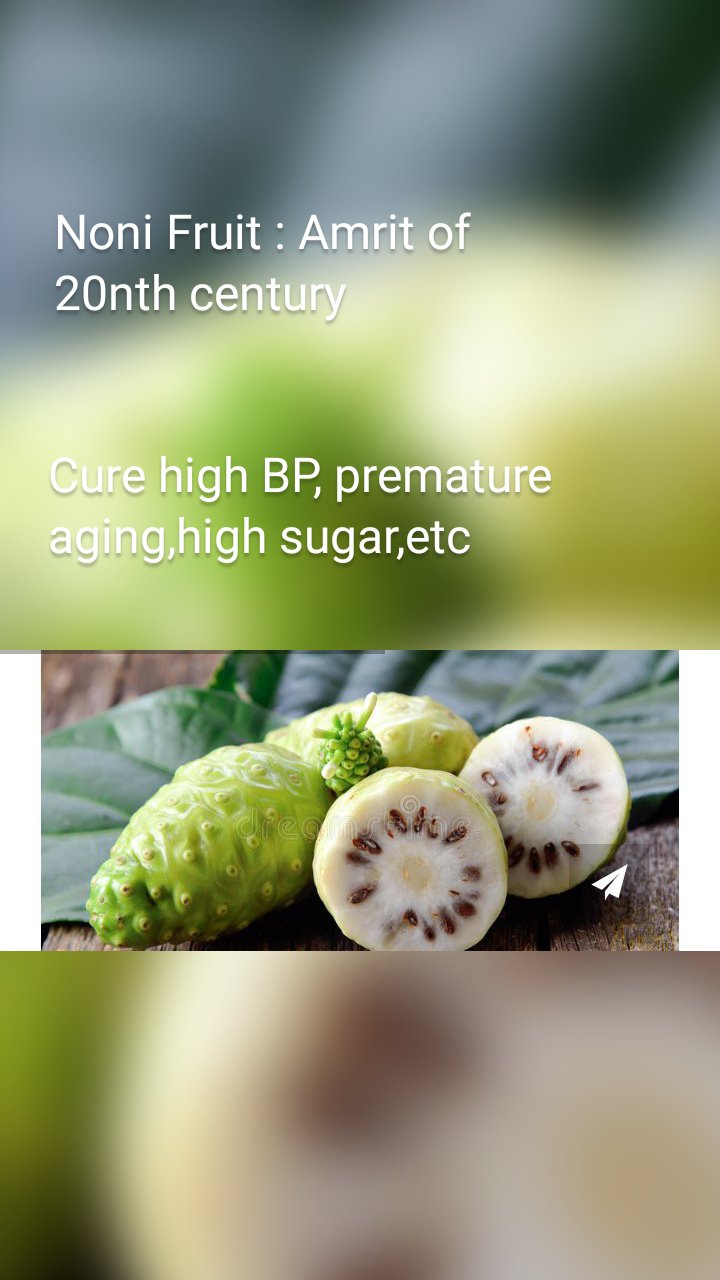 Noni Fruit : Amrit of 20nth century  Cure high BP, premature aging,high sugar,etc 